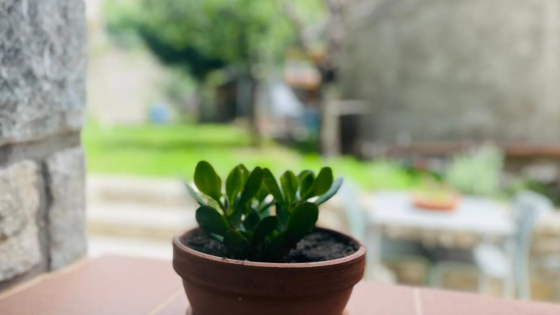 Can Paroi Camprodon Apartment